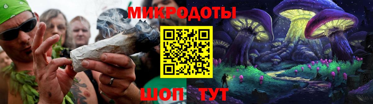 Галлюциногенные грибы Psilocybe Санкт-Петербург